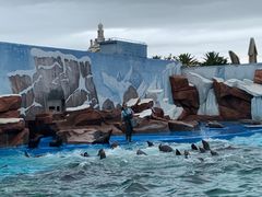 -上海海昌海洋公园