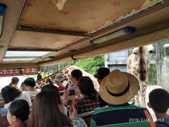 -清迈夜间动物园