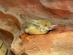 -Zoolung Zoolung动物主题公园(海信广场店)