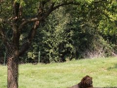 -杭州野生动物世界