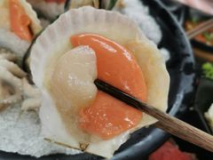 扇贝-丽江庭院之爱在路上(西单店)