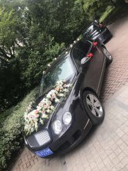 -蚂蚁婚车