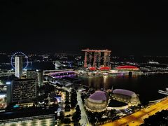 -新加坡瑞士史丹福酒店