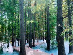 -东湖落雁景区