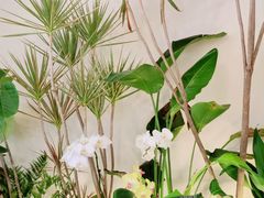 -Fruiffee Cafe 果啡派