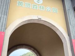 -黄贤森林公园