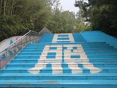 -日照海滨国家森林公园