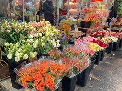 -循礼门鲜花花市(武汉循礼门店)