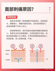 点击看大图 -玛莲朵·海菲秀冰珀科