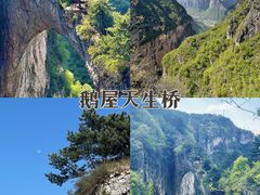 -齐王寨景区