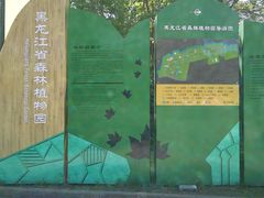 -黑龙江省森林植物园