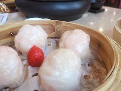 金牌虾饺皇-点都德(千灯湖环宇城店)