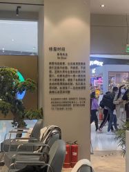 -眉毛先生MrBrow修眉染眉化妆