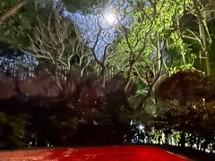 -广州从化都喜泰丽度假酒店温泉