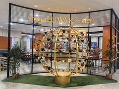 -巴厘岛黄金金兔咖啡工厂