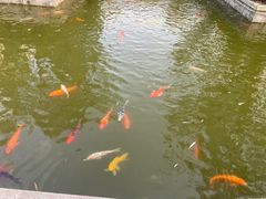 -芜湖方特东方神画