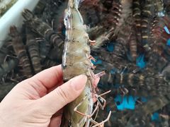 -十四涌水产中心