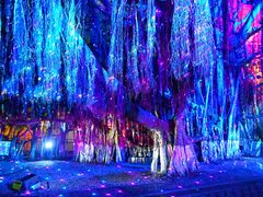 -胡里山炮台