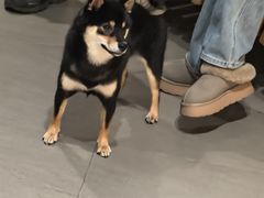 -昆山金鹰尚美酒店·金鹰贵宾楼