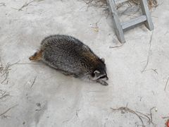 -南戴河国际娱乐中心