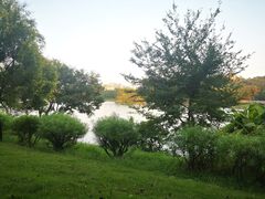 -广东花都湖国家湿地公园