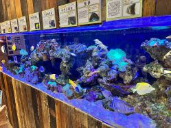 -Zoolung Zoolung动物主题公园(海信广场店)