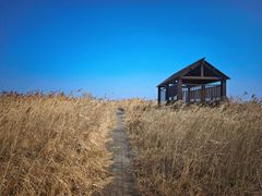 -盐城丹顶鹤湿地生态旅游区