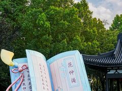 -东台西溪天仙缘景区