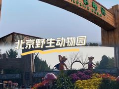 -北京野生动物园