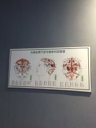 点击看大图 -博士园·女士严重脱发生发中心