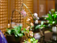 -京旬海鲜放题·铁板烧自助餐厅