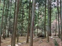 -雁荡山大龙湫景区
