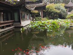 -乾园.魏庐湖景餐厅(花港店)