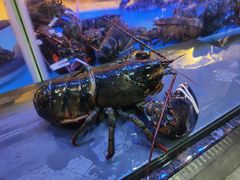 -御彩酒家(东风东路店)