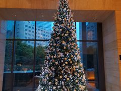 -上海龙之梦万丽酒店