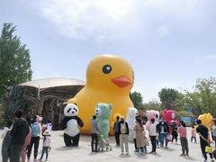 -南戴河国际娱乐中心