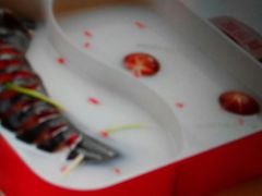 -老兵食堂(景新街店)