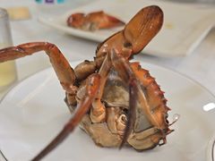 -莲花公园煎蟹(总店)