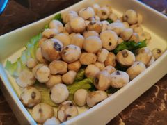 野生珍珠小马蹄-同仁四季椰子鸡(罗湖国贸店)