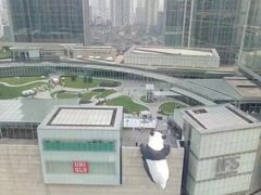-刺鸟眼镜全国连锁(春熙路店)