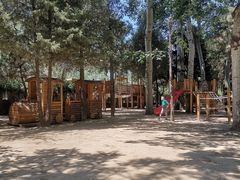 -南宫五洲植物乐园