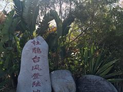 -广东惠东海龟国家级自然保护区