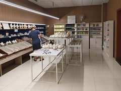 -青岛贝壳博物馆