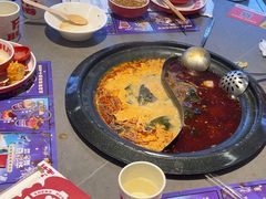 -生活如沸·顺德水牛奶火锅(大学路店)