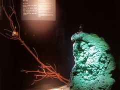 -深圳珠宝博物馆