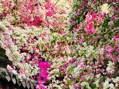 -深圳国际园林花卉博览园