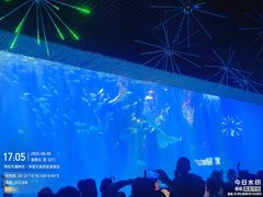 -华夏文旅海洋公园