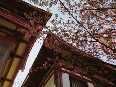 -西安青龙寺遗址景区
