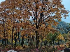 -玉渡山自然风景区