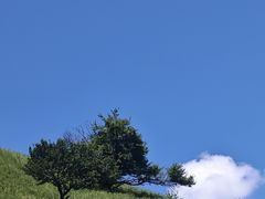 -关山草原